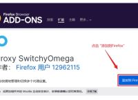 Firefox浏览器使用Proxy SwitchyOmega插件连接代理IP
