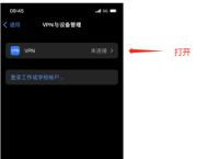 苹果ios手机利用L2TP/SK5直连教程