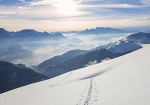 极客IP vs 无忧IP：哪款代理IP更适合你？