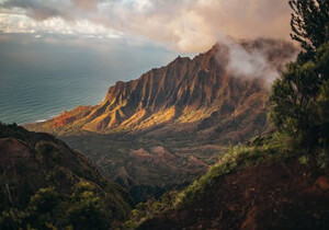 极客IP vs 无忧IP：哪款代理IP更适合你？