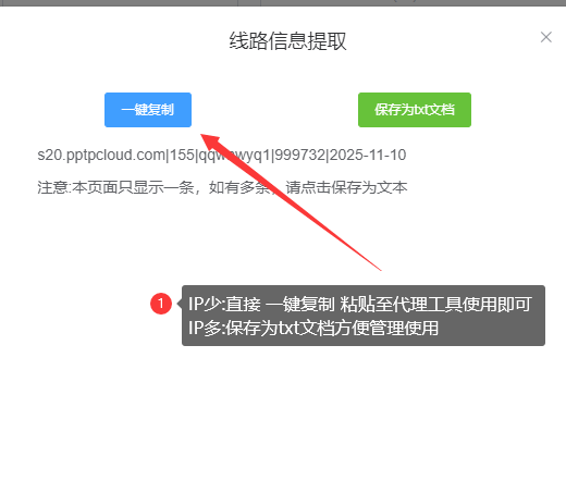 一键复制IP信息截图