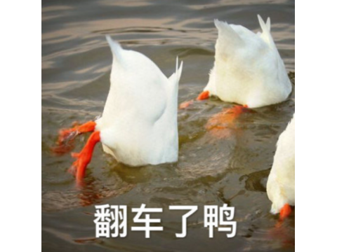 100e4da6060d054fe9a064d0a601ebe3_423a4772-acac-4bb6-90ea-70ef7db7e804.png