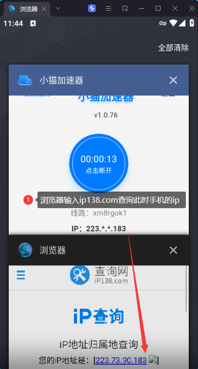 IP验证结果