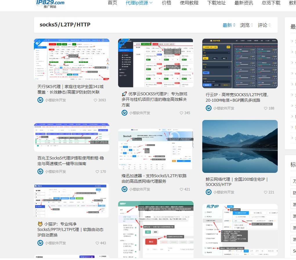 住宅静态IP怎么用？Socks5与L2TP配置实操指南