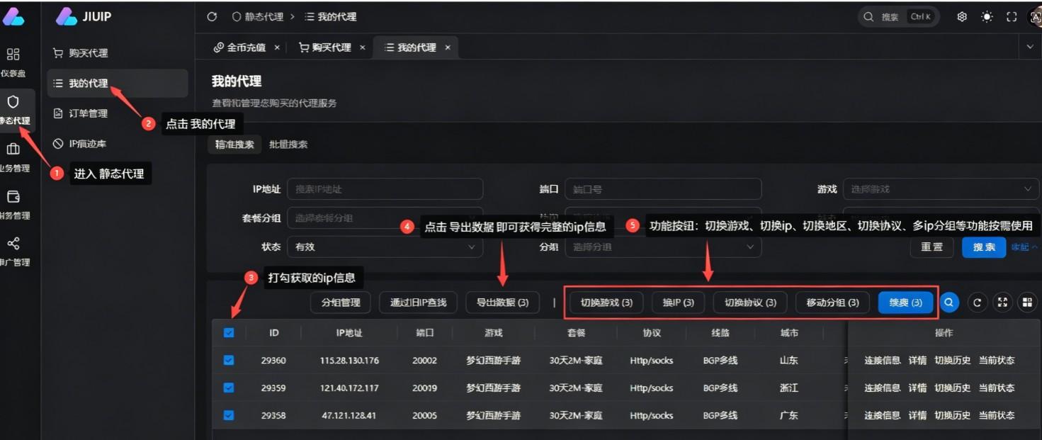  九IP(jiuip) - 专业静态代理IP服务 | 支持SOCKS5/L2TP协议 | 自助提取平台
