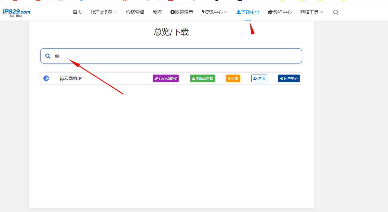 鲸云IP代理价格与特惠通道：6元/月获取 SK5/L2TP 节点指南